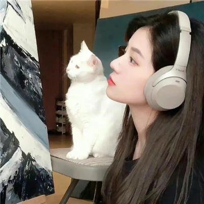 女贼金丝猫