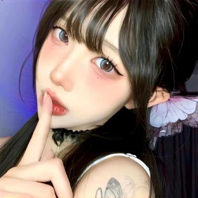 完美伴侣2025