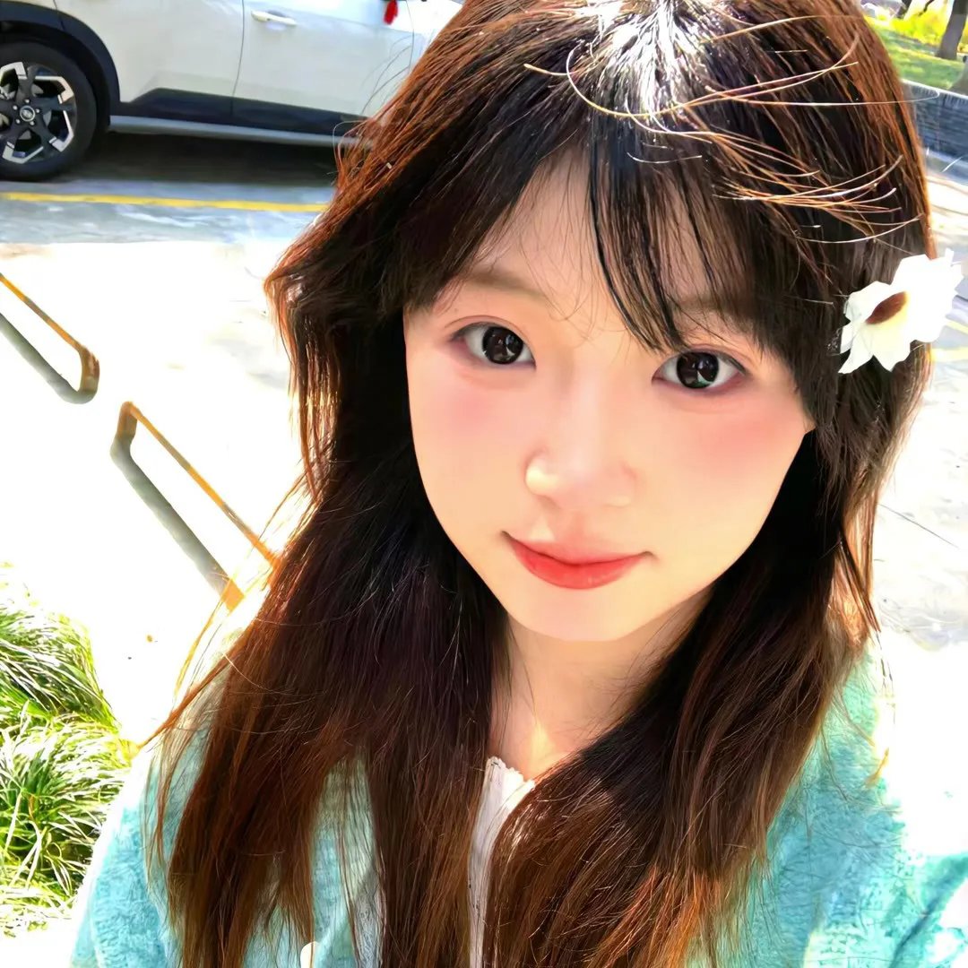 银杏床